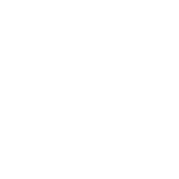 チームアイコン